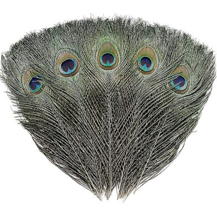 24 st naturliga påfågelögonfjädrar 10-12 tum för gör-det-själv-hantverk, bröllop och semesterdekorationer
