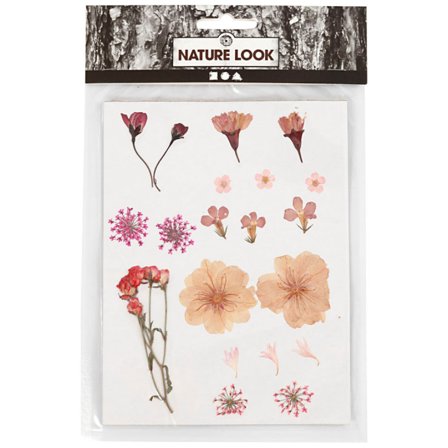 Creativ Company Dried flowers and leaves Light pink