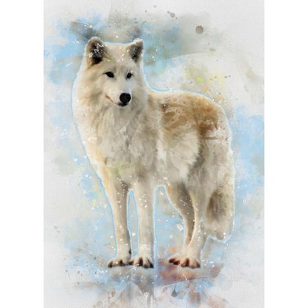 A3 Print - White Wolf - Vit Varg