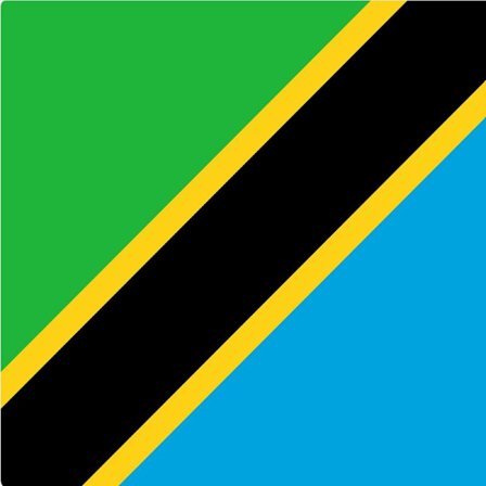 Tanzanias flag 100