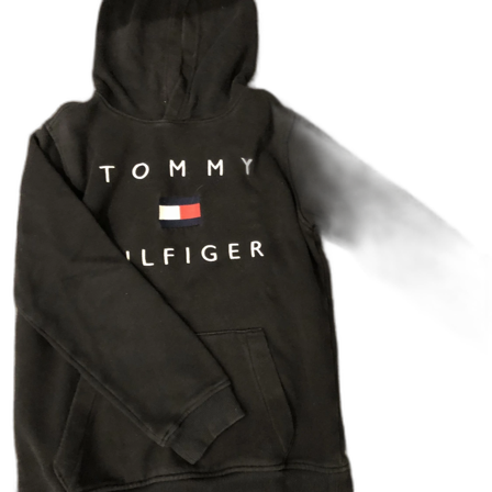 Tommy hilfiger hoodie