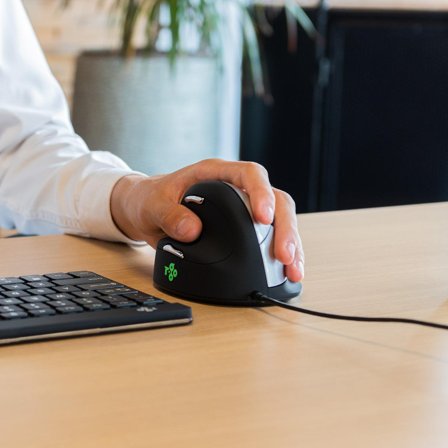 R-GO Tools R-Go Ergonomic mouse HE Break - mus - USB