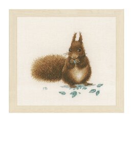 Bild Eichhörnchen - Lanarte
