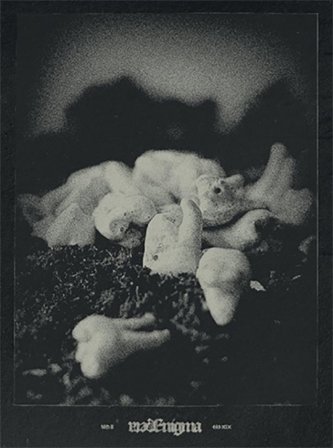 Beta aenigma NORDVARGR/TREPANERIN