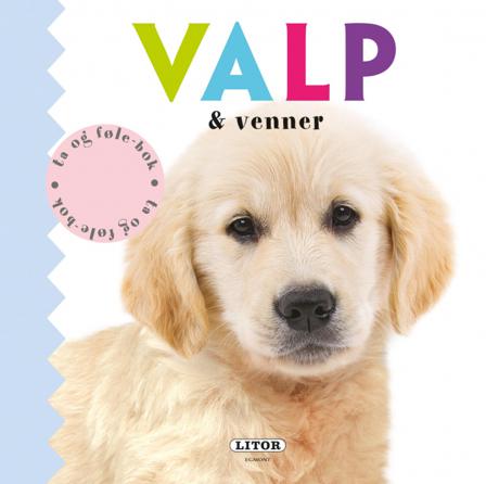 Valp & venner - Bok av Ellie Boultwood, Amy Oliver, m.fl. - Board book