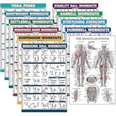 11-pak - Træningsplakatsæt: Håndvægt, Suspension, Kettlebell, Modstandsbånd, Udstrækning, Kropsvægt, Vægtstang, Yoga, Træningsbold, Muskelsystem