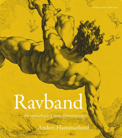 Ravband : en upptäcktsfärd längs Bärnstensvägen - Bok av Anders Hammarlund - Danskt band