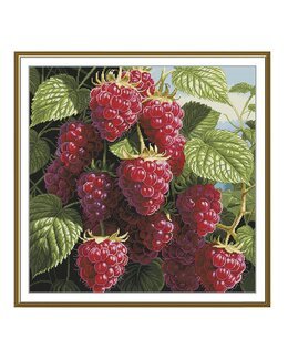 Stickpackung Bild Saftige Himbeeren - Nova Sloboda