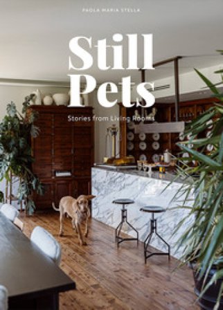 Still pets. Stories from living rooms. Dogs. Ediz. italiana e inglese Paola Maria Stella