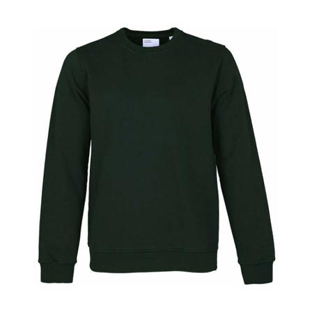 Colorful Standard, Sudadera de cuello redondo Zielony, Mężczyzna, Rozmiar: S