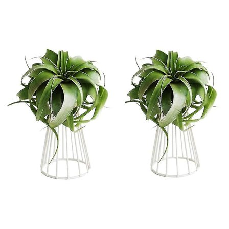 2 Pak Luftplanteholder Tillandsia Metal Indendørs Bordplade Stor Streptophylla Luftplante Stativer Plante R