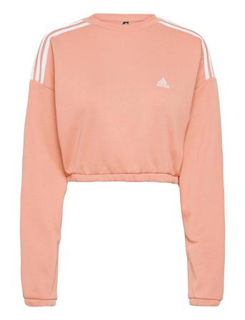 Crop Crew Sweatshirt W Orange Adidas Performance