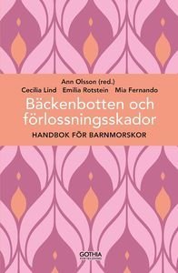 Bäckenbotten och förlossningsskador : Handbok för barnmorskor