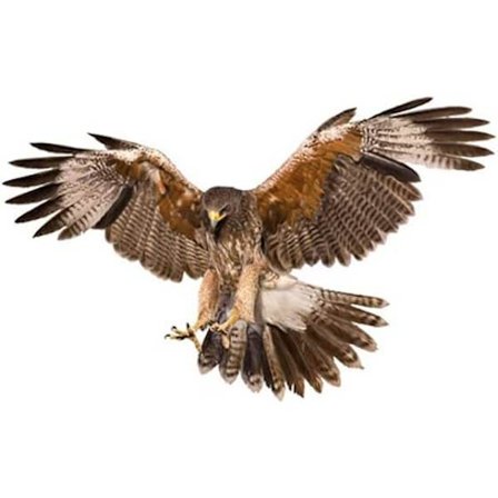 Flyvende ørne-mærkat, ørne-mærkat til bil 3