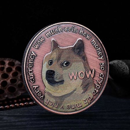 Dogecoin Mynt Doge Coin Minnesmynt Fysisk Blockchain Krypto Samlarmynt med Skyddande Fodral, 1st