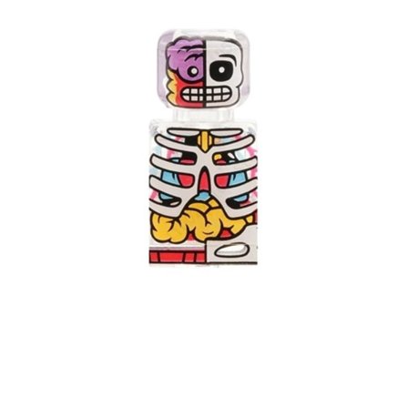 Transparent Människor Kroppen Skeletal Mini Action Toy Figura Byggnadsblock
