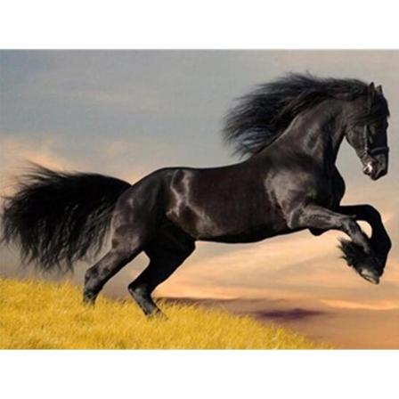 Full 5d Diy Diamond Painting Cross Stitch Black Horse Mosaic Bro Som På Bilden 1 50x70cm