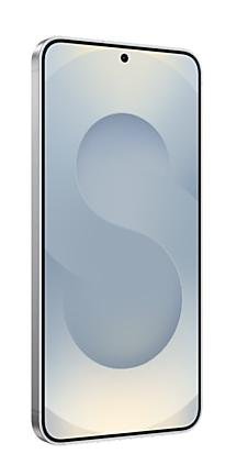 Samsung GALAXY S25 EE 128GB SILVER SHADOW ENTERPRISE EDITION SMD