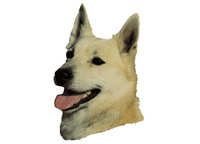 Norsk buhund - klistremerker