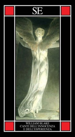 Canti dell'innocenza e dell'esperienza. Testo inglese a fronte William Blake