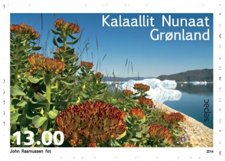 Grønland - SEPAC - Postfrisk frimærke