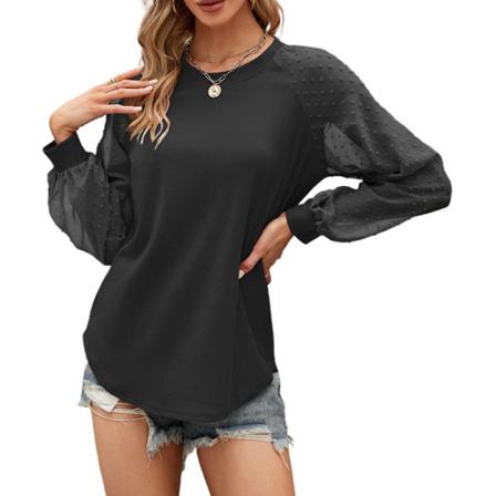 Swiss Dots Enfärgad T-shirt Med Rund Hals För Damer Chiffongtröja