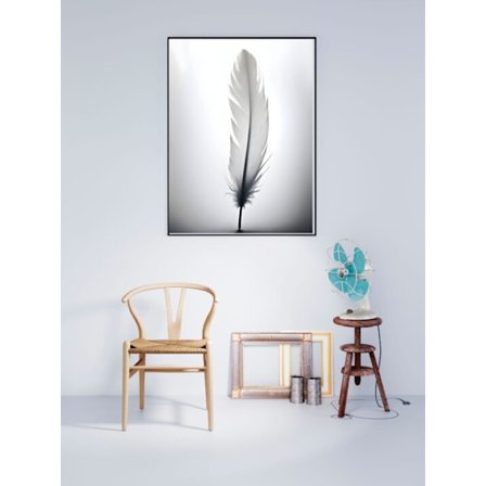 Vit Fjäder Affisch 50×70 CM