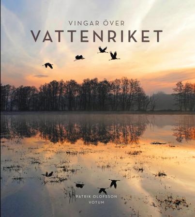 Vingar över Vattenriket - Bok av Patrik Olofsson - Inbunden