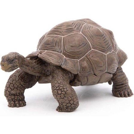 Galapagos sköldpaddsfigur - Papo - Wild Life Collection - Leksak för barn från 3 till 10 år gamla