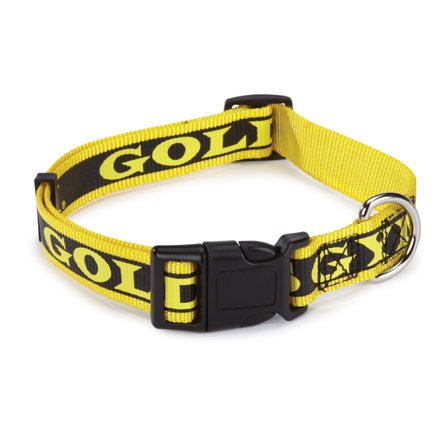 East Side Collection - Gold's Gym Dog Halsband- Hundhalsband