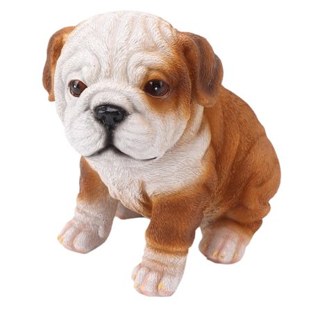 Engelsk Bulldog Valp Statue Livaktig Resin Bulldog Skulptur for Hage Plen Veranda Dekorasjon Sittende Bulldog