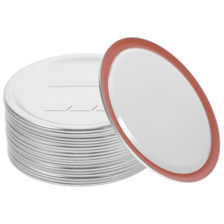 20 st Mason Burk Lock Lock Mason Jar Lock Lock Mason Burk Lock Skivor (Silver)[D]