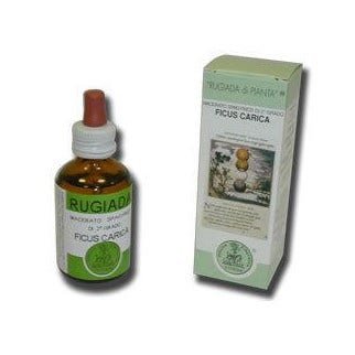 Rugiada Ficus Carica 50ml