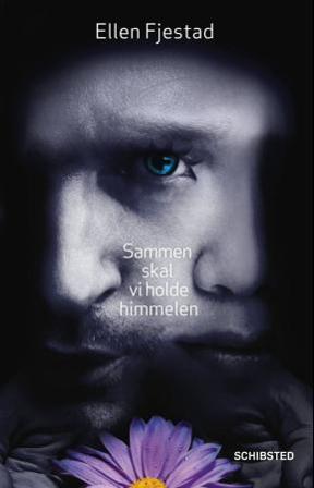 Sammen skal vi holde himmelen - Bok av Ellen Fjestad - Hardback