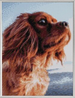 Diamond Painting Hund - Art City