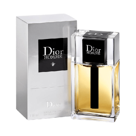 DIOR Homme EdT Herrdoft Herr 100 ML