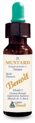 Alchimia Benoit Fiori Di Bach Mustard 10ml