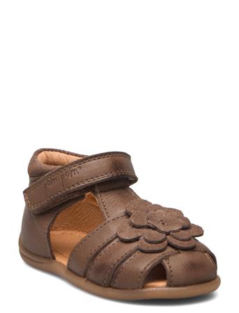 Starters Flower Velcro Sandal Shoes Summer Shoes Sandals Brown Pom Pom