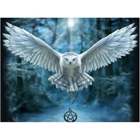 Slott (ugglor) 5D DIY Diamantmålning Kit Full Borr för Barn