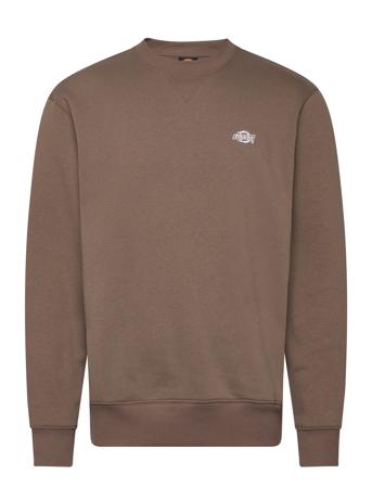 Summerdale Sweatshirt Designers Sweatshirts & Hoodies Sweatshirts Brown Dickies