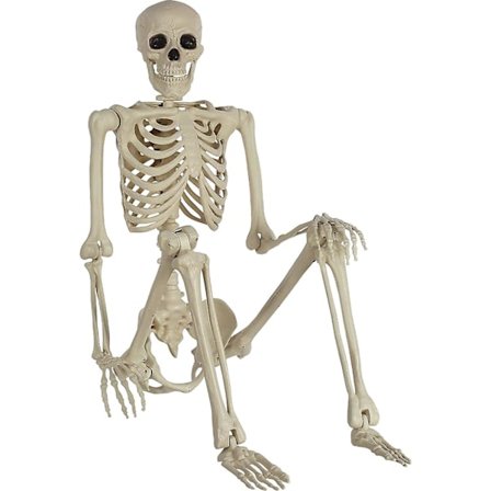 Halloween-skelett, Halloween-dekorationer Skalle, 16" Full Body Realistisk Faux Mänskligt Skelett, Halloween-dekor för hemsökta husrekvisita
