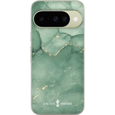 Yhteensopiva Puhelinkuori Google Google Pixel 10 Cactus and Friends – JadeVeins