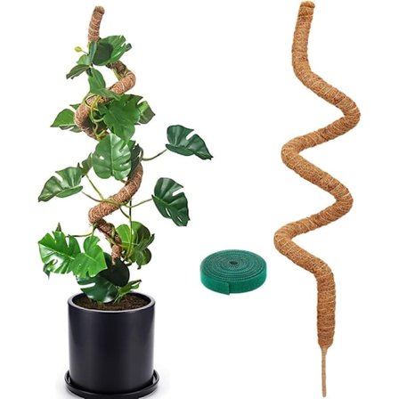 Plantestøtte / støttestang, Bøyelig mosestang 70-100cm - Klatrestøtte 1/2-pakning, for innendørsplanter, eføy og monstera 100cm-1 stk