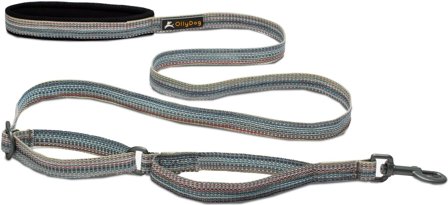 OllyDog Flagstaff Adjustable Leash- Repurpose Prism - OllyDog
