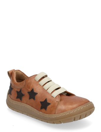 ANGULUS Shoes - Flat - With Lace - Brown - 30