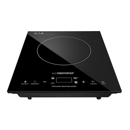 Esperanza - Induktiolautanen - 2000 W