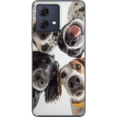 Yhteensopiva Puhelinkuori Motorola Moto G84 Neljä koiraa nähtynä alhaalta leikkisää eläinmuotokuvaa nuuskien ja kielten kanssa viehättävä ja hauska va