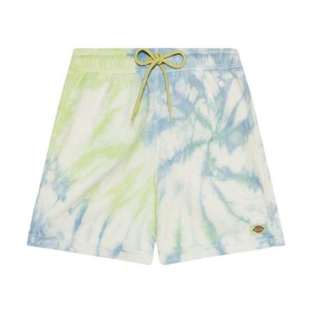 Dickies Seatac Shorts Grøn, Herre Chino Shorts, Størrelse: XL