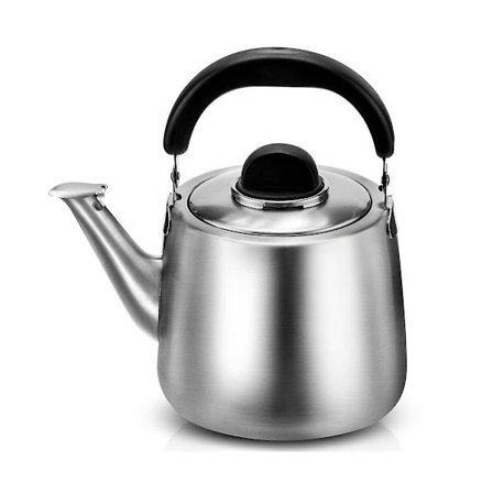 Tevattenkokare med visselpipa, rostfritt stål tekanna med handtag, spisplatta med universell bas
