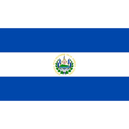 El Salvadors flag